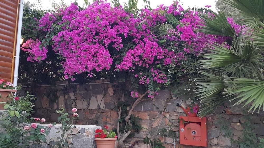 Kabak Armes Hotel Faralya Exterior photo